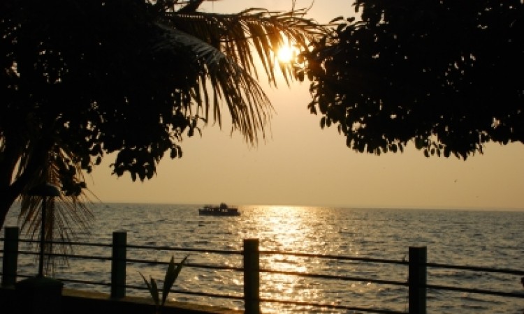 Lake view