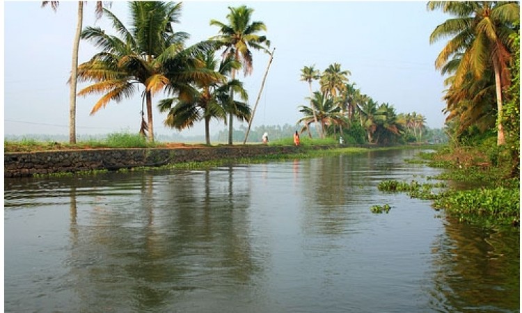 Surrounding of the Resort