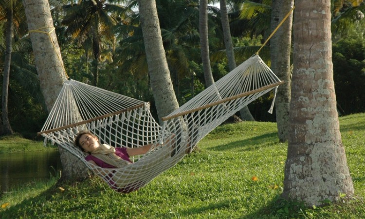 Hammock