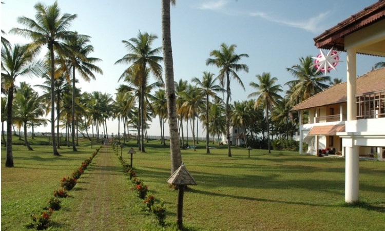 Lawn