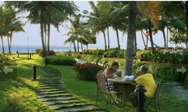 Food in the Lawn