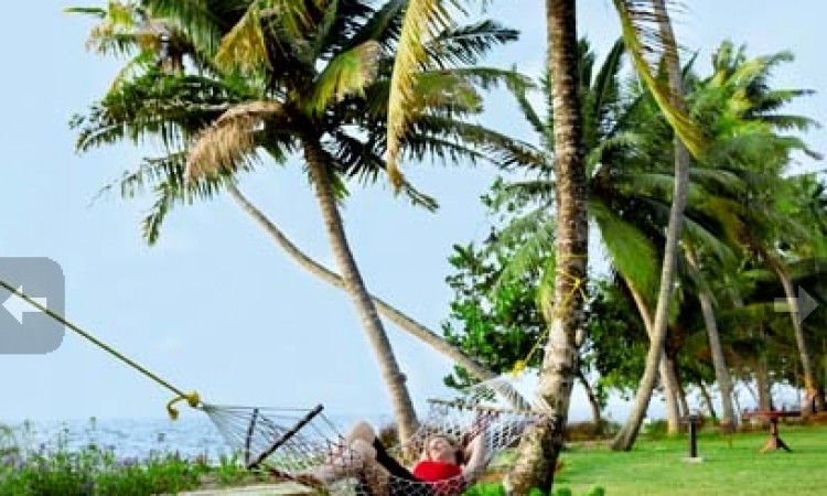 Hammock