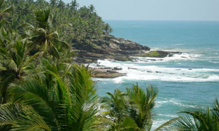 The surf The surf