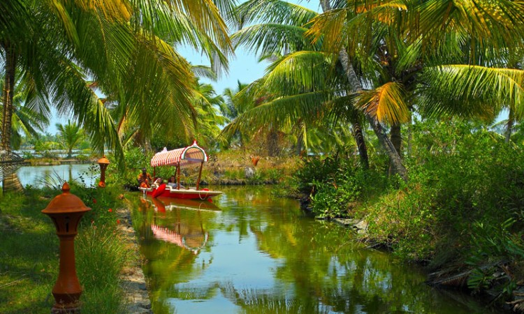 Boating along the backwaters Boating along the backwaters
