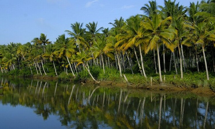 Backwaters Backwaters