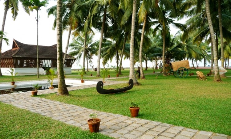 Lawn