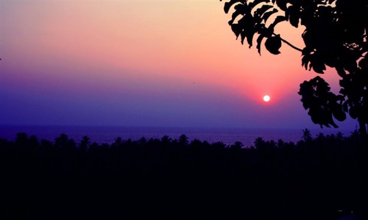 Dusk Dusk