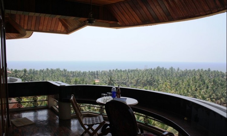 Nature view Nature view