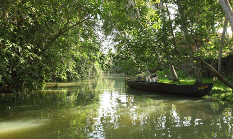 Backwaters