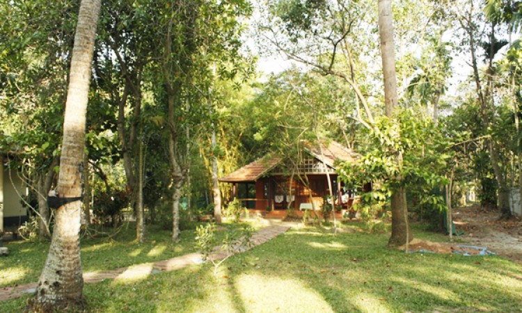 Lawn