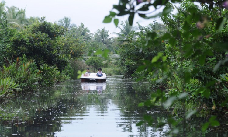 Pedal Boating