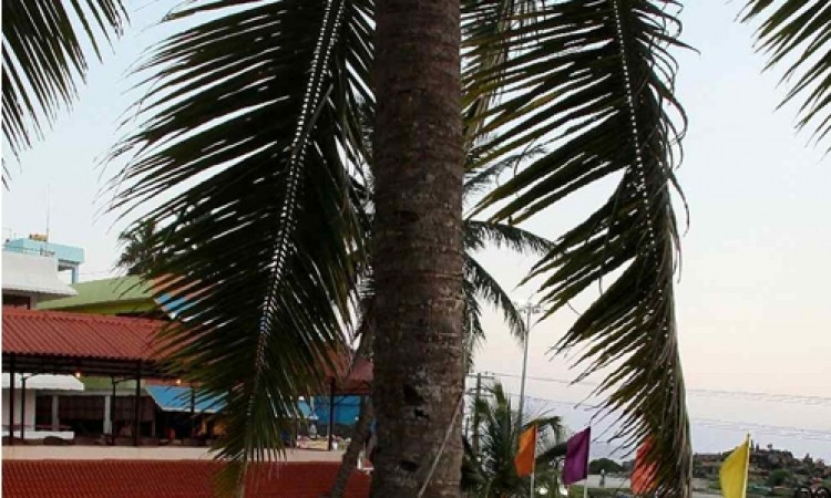Hotel premises Hotel premises