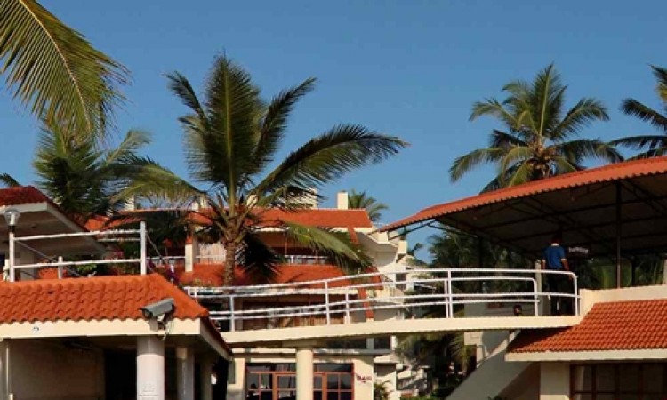 Hotel lawn Hotel lawn