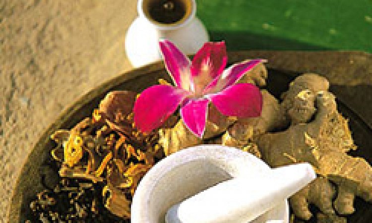 Herbal Herbal