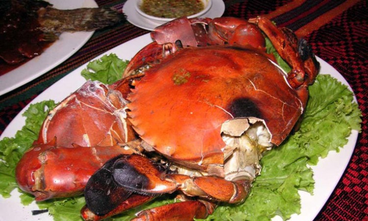 Cuisine3 Cuisine3