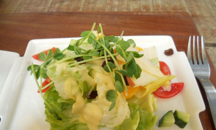 Cuisine8 Cuisine8