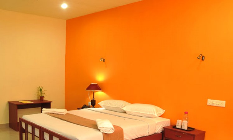 Room Room
