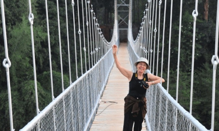 Hanging Bridge