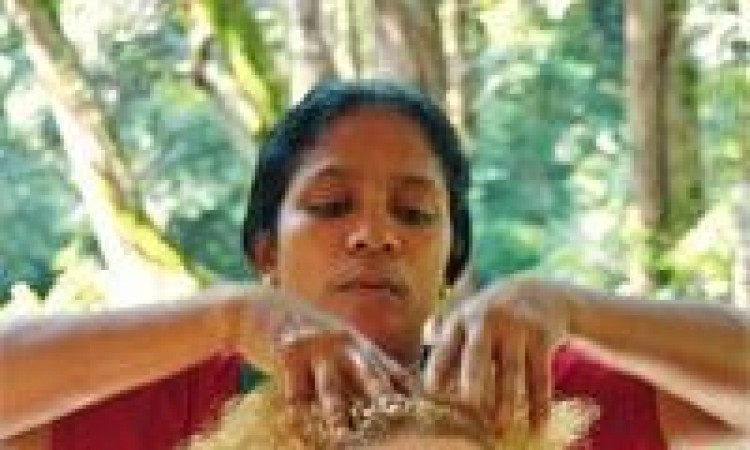 Ayurveda 1 Ayurveda 1