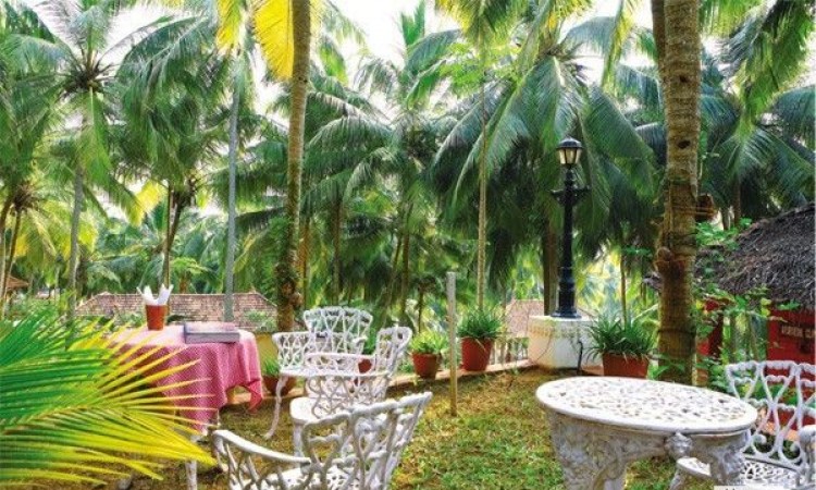 Dining amidst nature Dining amidst nature