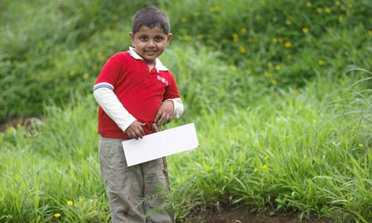 Planting a tree