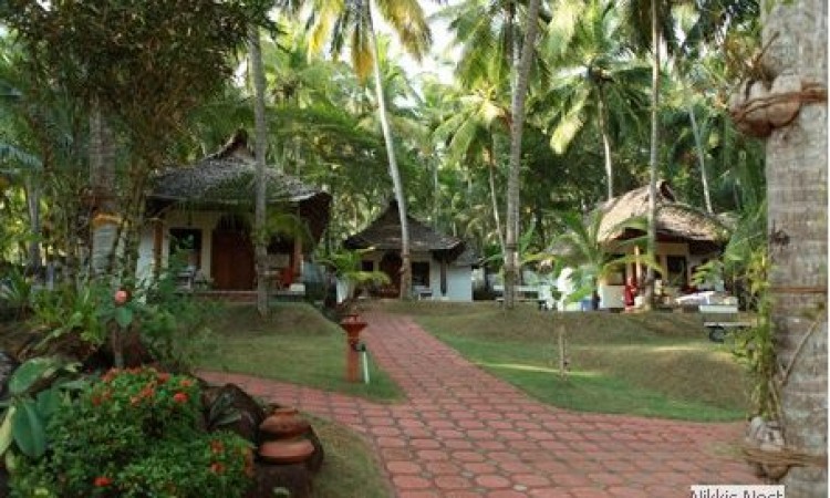 Way to Cottage Way to Cottage