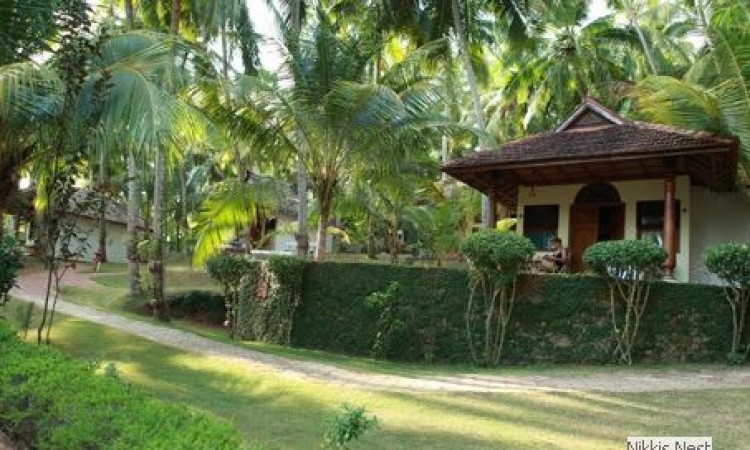 Garden Garden