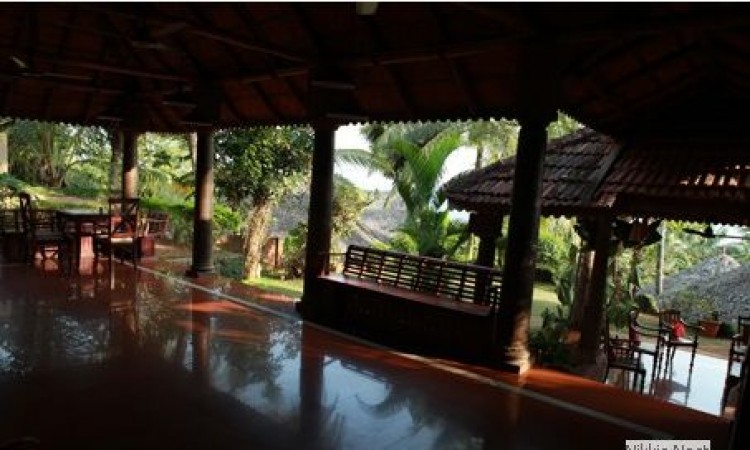 Wooden Deck Wooden Deck