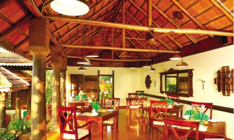 Dining Dining
