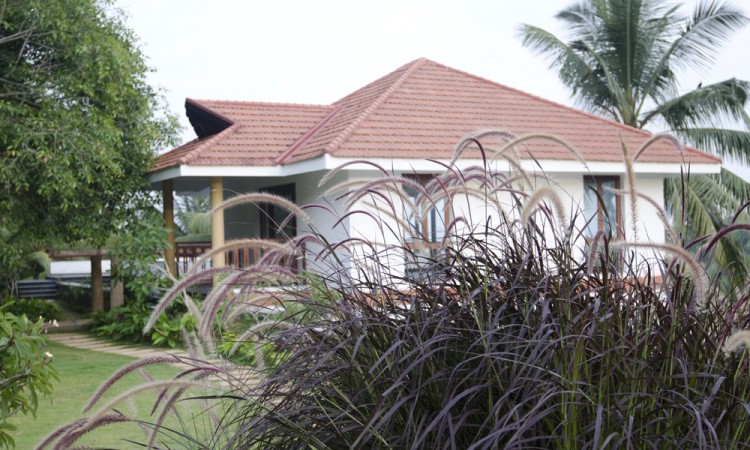Garden Garden