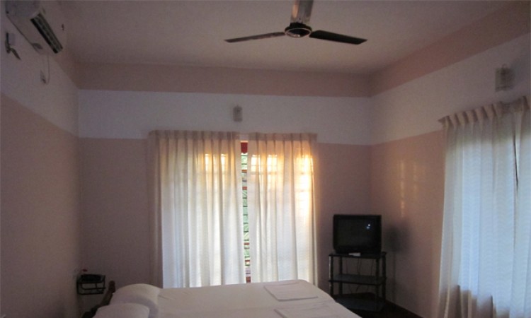 Pleasant look of room Pleasant look of room