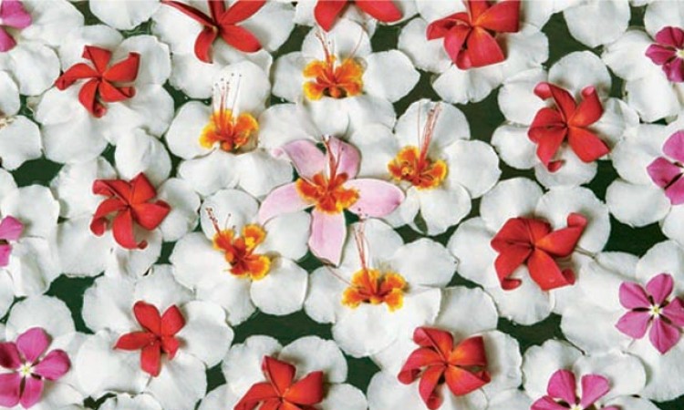Texture mood Flowers