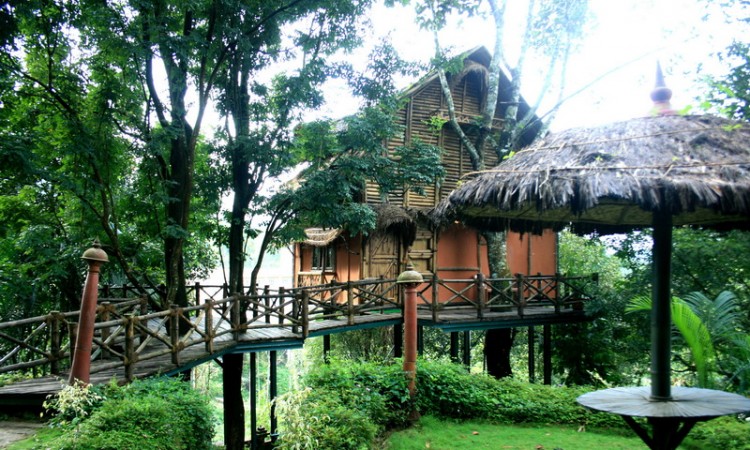 Bamboo Tree House Bamboo Tree House