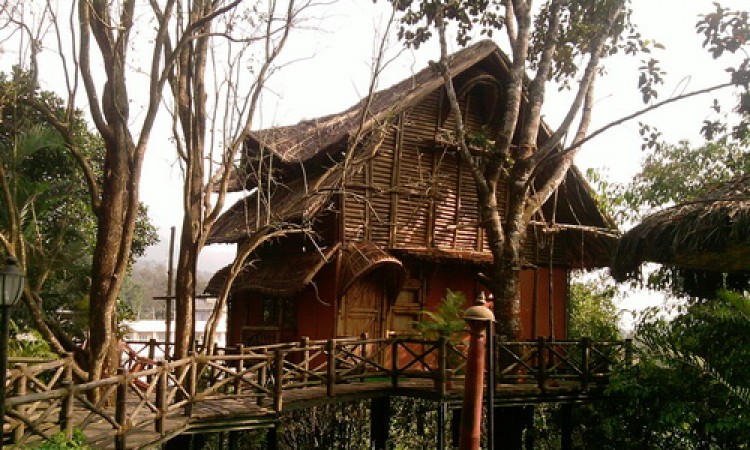 Bamboo Tree House amidst Greenery Bamboo Tree House amidst Greenery