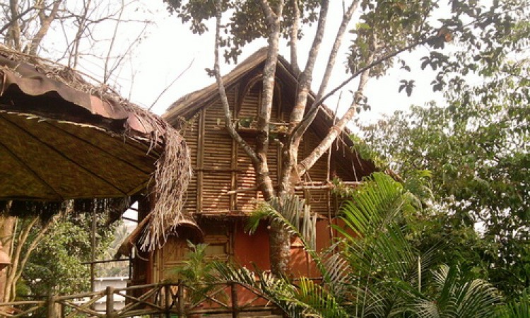 Bamboo Tree House set amidst Nature Bamboo Tree House set amidst Nature
