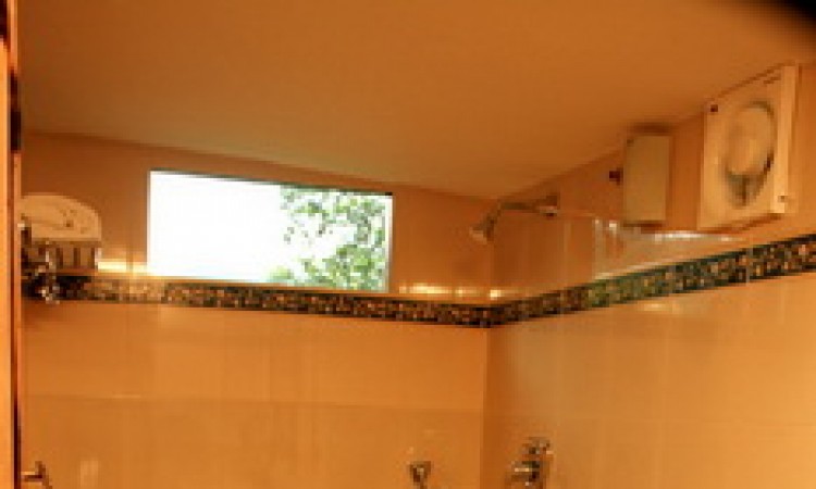 Bathroom In the Bamboo Tree House Bathroom In the Bamboo Tree House