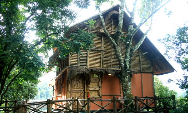 Front View of Bamboo Tree House Front View of Bamboo Tree House