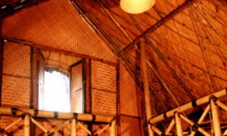 Inside view of the Bamboo Tree House 1 Inside view of the Bamboo Tree House 1