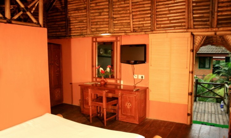 Inside view of the Bamboo Tree House 2 Inside view of the Bamboo Tree House 2