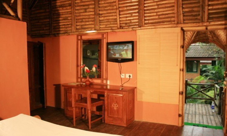 Inside view of the Bamboo Tree House 3 Inside view of the Bamboo Tree House 3