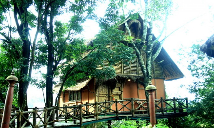 Main View of Bamboo Tree House Main View of Bamboo Tree House