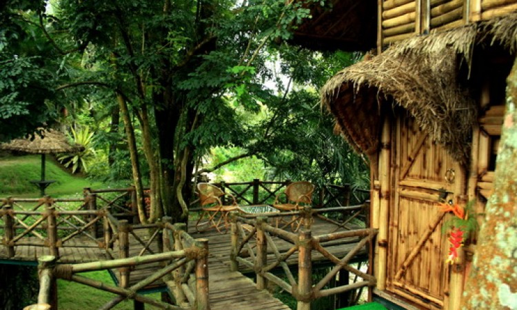 Sit out at Bamboo Tree House Sit out at Bamboo Tree House