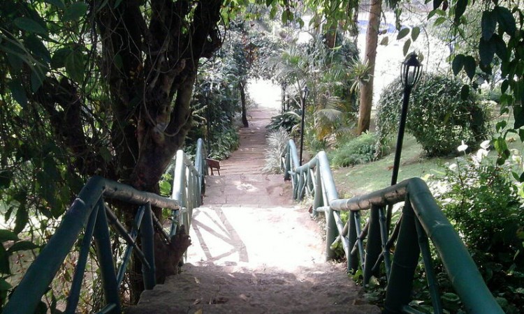 Pathway to Cottage Pathway to Cottage