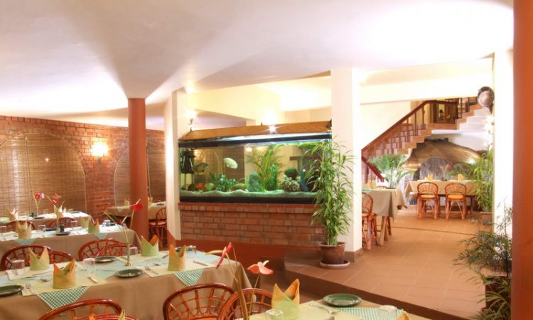 Restaurant Restaurant