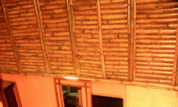 Top view in the Bamboo Tree House Top view in the Bamboo Tree House