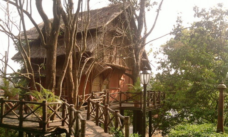 Way to Bamboo Tree House Way to Bamboo Tree House