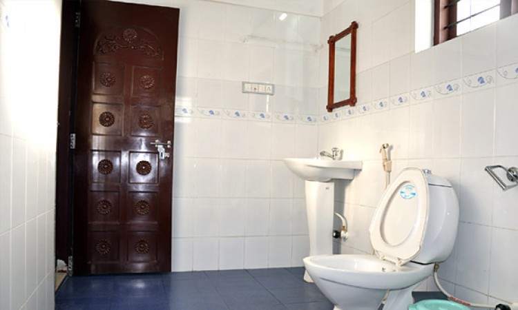 Clean Toilet