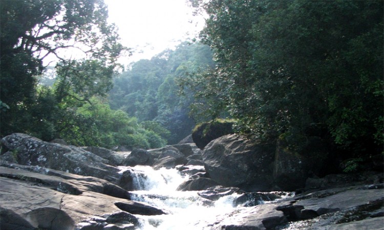 Memorable Beauty view