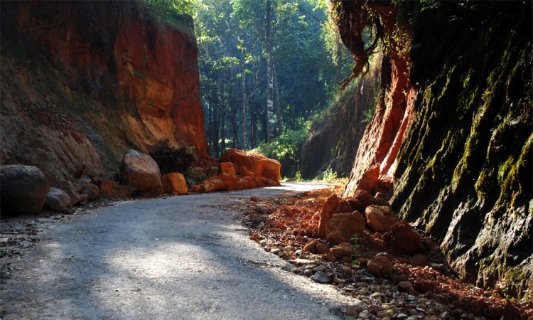 Way of Paradise view