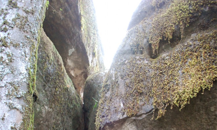 Stone view